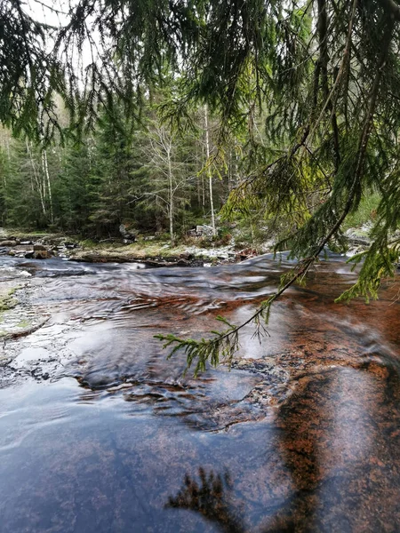 Zicht Helder Water Stromend Rivier Het Bos Siljan Noorwegen — Stockfoto