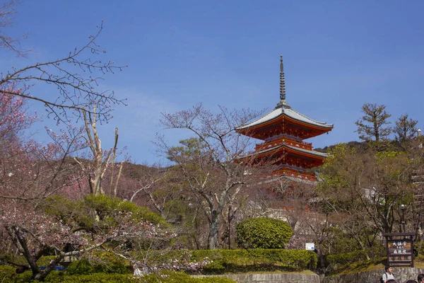 Kiyomizu Dera Buddhista Templom Kiotóban Japánban — Stock Fotó