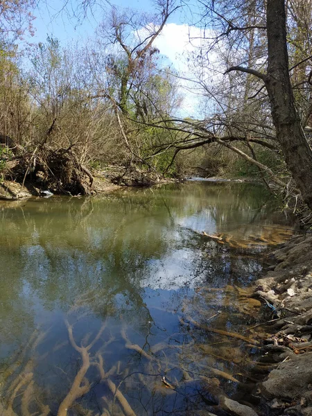 Plan Vertical Beau Lac Travers Les Fourches — Photo