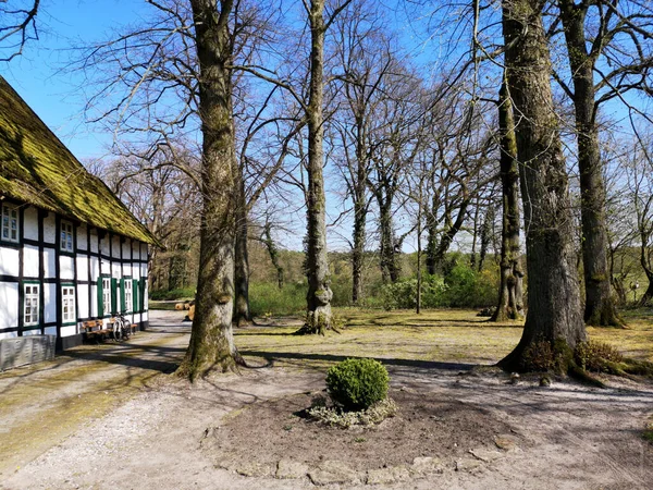 Szép Régi Fapados Ház Oerlinghausen Óvárosában Teutoburgi Erdőben Németországban — Stock Fotó