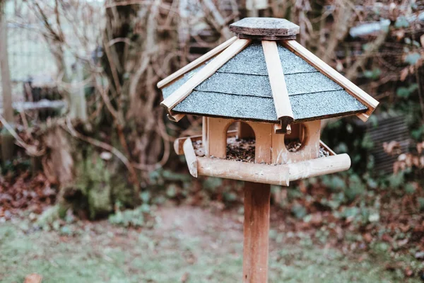 Tiro Foco Seletivo Uma Pequena Casa Pássaros Madeira Fundo Turvo — Fotografia de Stock