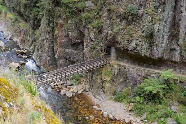 Waikato Nouvelle Zélande Déc 2020 Vue Pont Suspendu Rivière Waitawheta — Photo