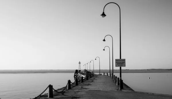 Uma Imagem Tons Cinza Uma Ponte Sobre Lago Com Luzes — Fotografia de Stock