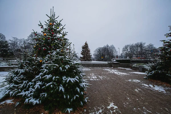 Vackra Julgranarna Dekorerade Med Ornament Och Täckta Snö Parken — Stockfoto