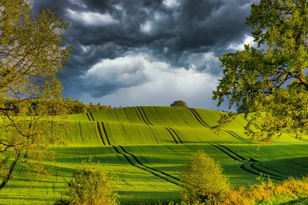 Una Hermosa Vista Del Campo Verde Los Árboles Bajo Cielo — Foto de Stock