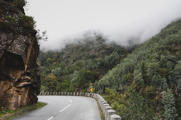 Beau Plan Une Route Travers Forêt Brumeuse — Photo