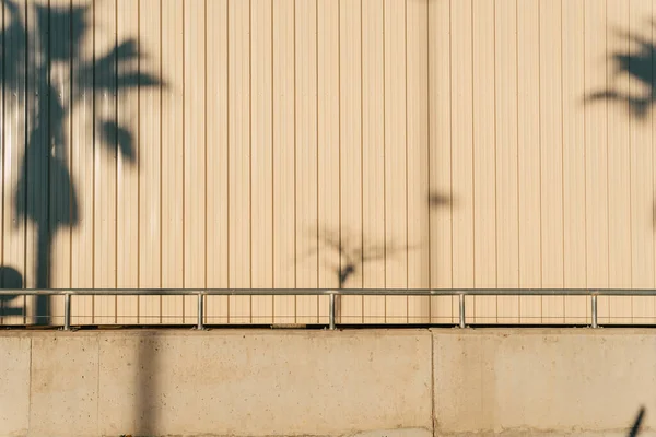 Uma Visão Uma Sombra Uma Palmeira Chapas Parede Aço Galvanizadas — Fotografia de Stock