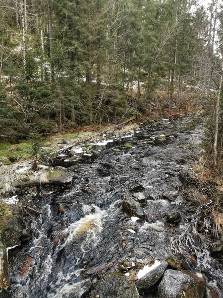 Une Vue Panoramique Rivière Qui Coule Aval Dans Forêt Siljan — Photo