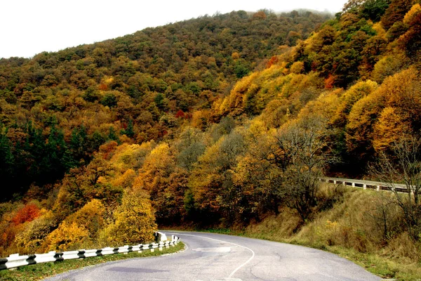 Piękny Widok Drogi Kolorowe Drzewa Górach Lasu Sezonie Jesiennym — Zdjęcie stockowe