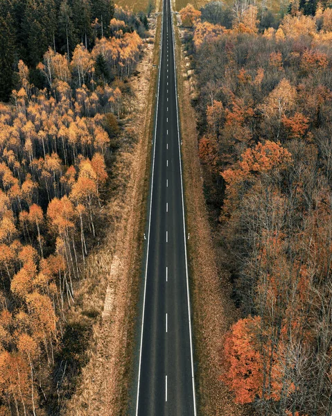 Tiro Vertical Uma Estrada Cercada Por Árvores Outono — Fotografia de Stock