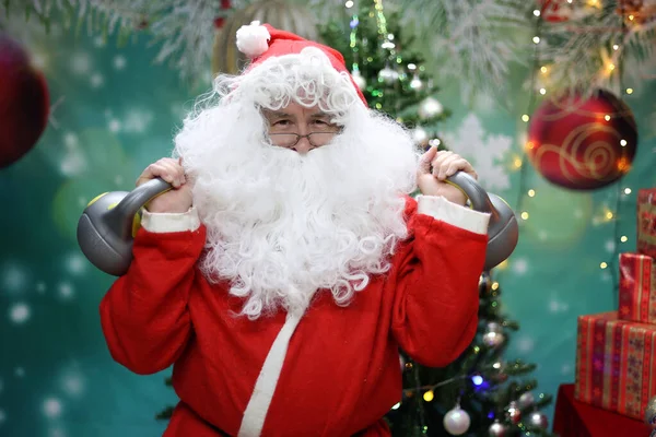 Santa Claus Posing Festive New Year Tree Holding Two Grey — Stock Photo, Image