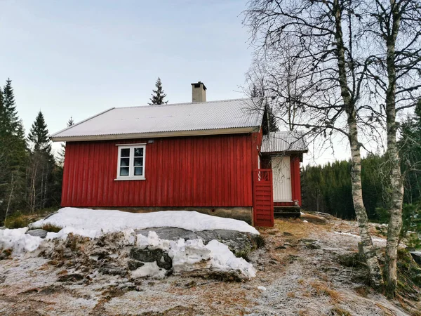 Uma Vista Uma Velha Casa Vermelha Madeira Meio Uma Floresta — Fotografia de Stock