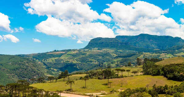 Uma Bela Vista Uma Paisagem Montanhosa Com Vegetação Sul Brasil — Fotografia de Stock