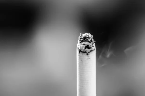 Detailní Záběr Špičky Cigarety Spálené Popelu Kouřem Černé Bílé Barvě — Stock fotografie