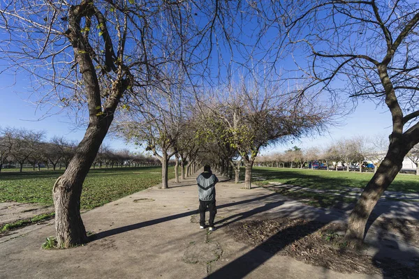 Egy Férfi Sétál Parkban — Stock Fotó