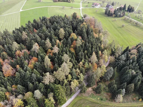 Letecký Záběr Podzimního Lesa Krajině — Stock fotografie