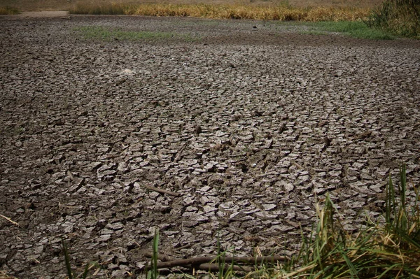 乾燥した無人島の自然の中で割れた地面のテクスチャ — ストック写真