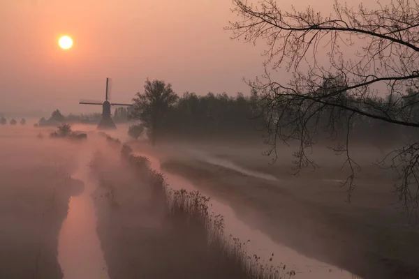 オランダに風車がある野原で霧に包まれた朝の美しいショット — ストック写真