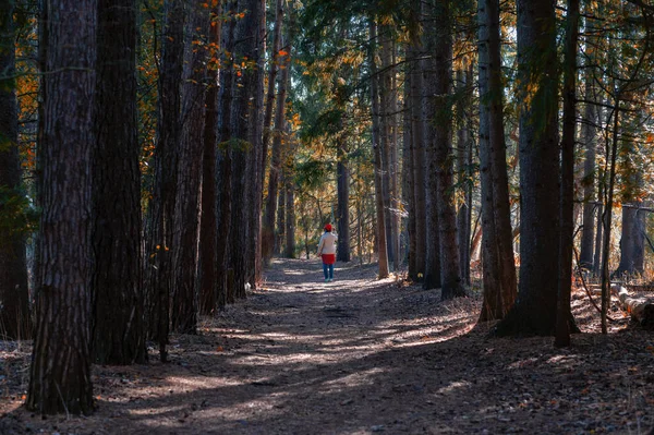 Een Close Shot Van Een Vrouwtje Dat Door Het Bos — Stockfoto