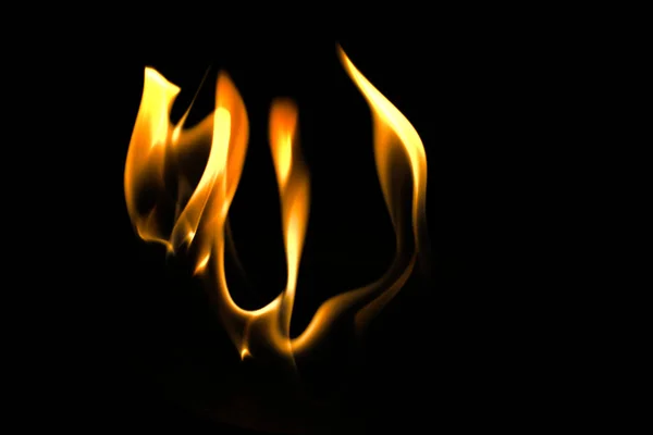 Closeup Orange Flames Front Black Backgrou — Stock Photo, Image