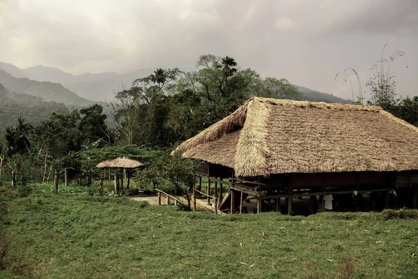 Ein Traditionelles Asiatisches Reetdachhaus Auf Stelzen Ländlicher Landschaft — Stockfoto