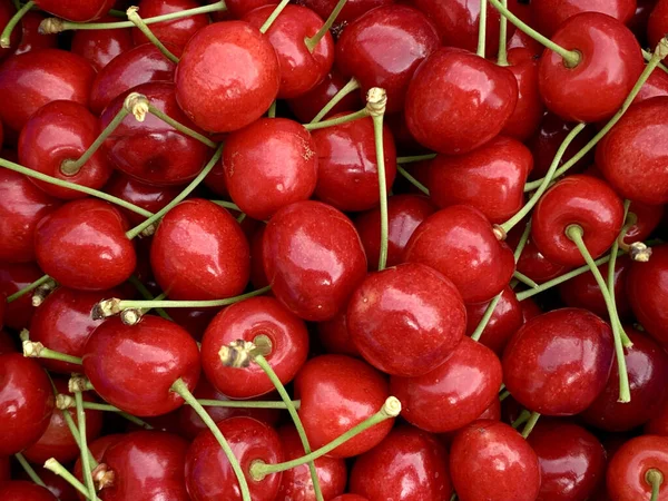 Sebuah Foto Close Dari Ceri Merah — Stok Foto