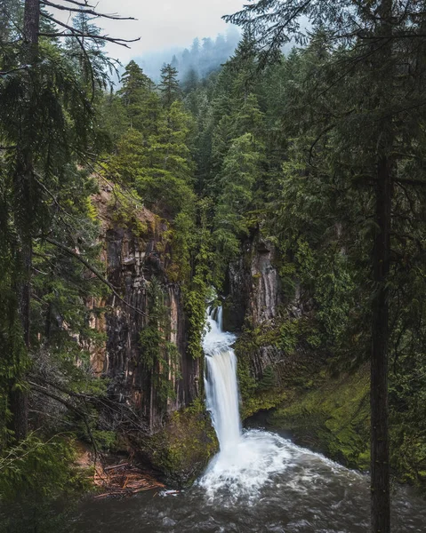 Uma Foto Vertical Das Cataratas Toketee Oregon — Fotografia de Stock