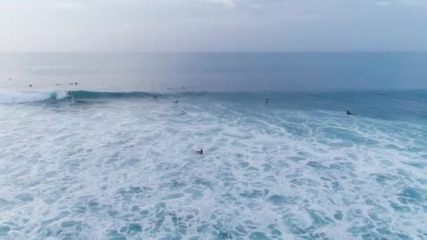Surfeurs Avec Planches Mer Sous Lumière Soleil — Video