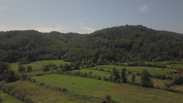 Agricultural Fields Forests Hills Srebrenik Bosnia Herzegovina Shot — Αρχείο Βίντεο