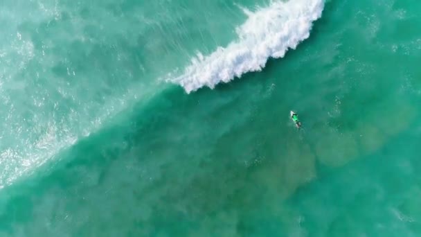 Surfeur Avec Planche Mer Sous Soleil — Video