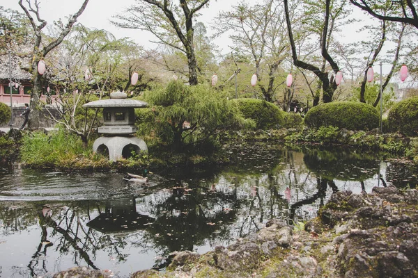 Uma Bela Vista Lago Com Plantas Lado Árvores Fundo Fuji — Fotografia de Stock