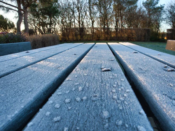 公园里一个雪质木板桌子的选择性焦点特写 — 图库照片