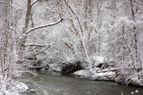 トロントのイーストドン公園の冬の川 — ストック写真