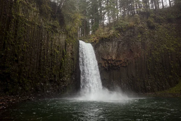 Uma Bela Foto Das Cataratas Abiqua Oregon — Fotografia de Stock