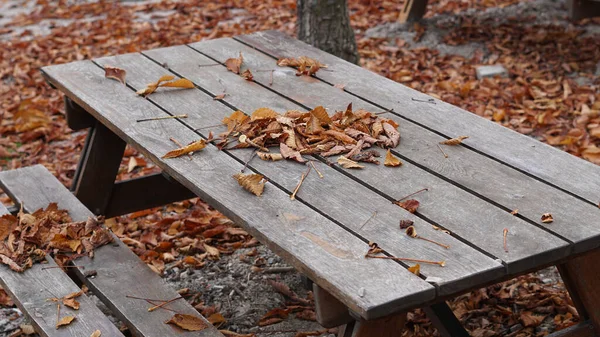 Closeup Shot Wooden Table Autumn Dry Leaves — Stock Photo, Image