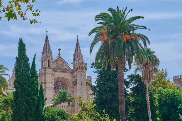 Una Hermosa Toma Catedral Palma Palma Mallorca España — Foto de Stock