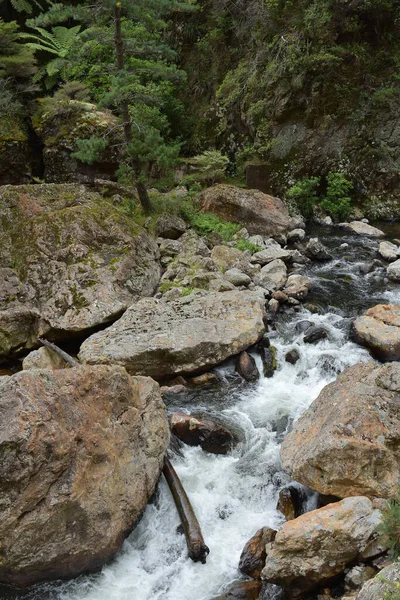Tiro Vertical Uma Corrente Água Através Montanhas Rochosas — Fotografia de Stock