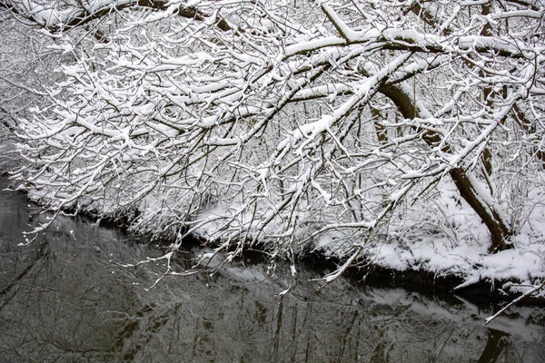 Ein Fluss Winter East Don Park Toronto — Stockfoto