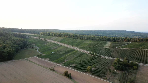 Vzdušný Pohled Zelenou Zemědělskou Půdu Pole — Stock fotografie