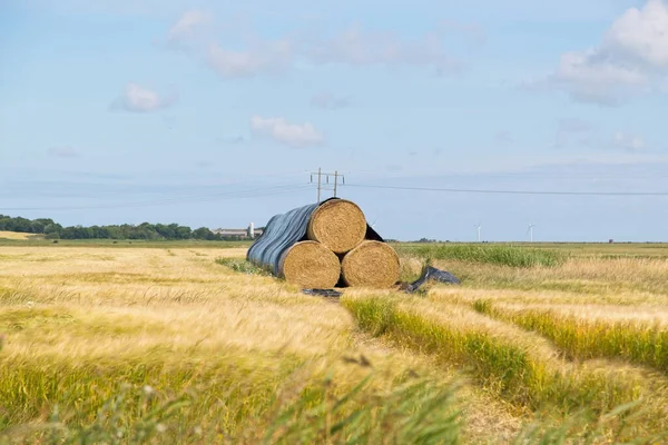 Een Prachtig Shot Van Het Geoogste Tarweveld — Stockfoto