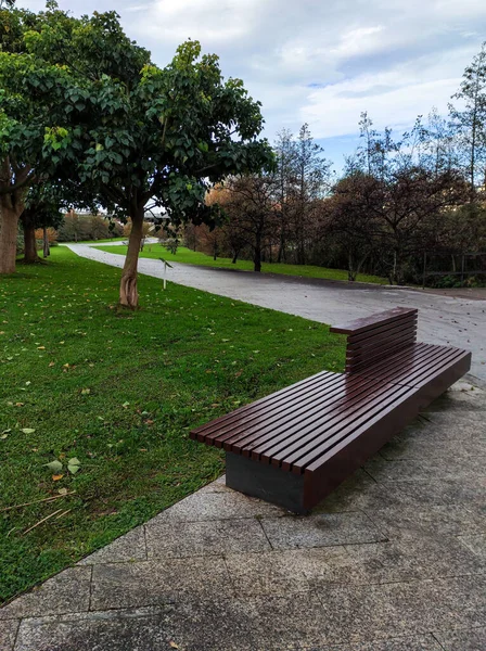 Een Verticaal Schot Van Een Lama Park Santander Spanje Met — Stockfoto