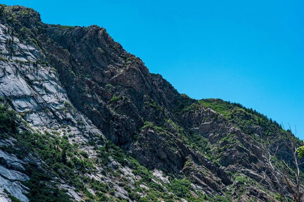 Een Prachtig Schot Van Groen Bedekte Bergen — Stockfoto