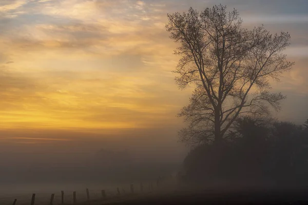 Ein Atemberaubender Blick Auf Den Sonnenuntergang Mit Orangen Und Blauen — Stockfoto