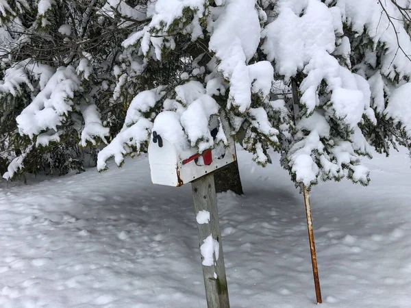 Kovová Poštovní Schránka Pokrytá Sněhem — Stock fotografie