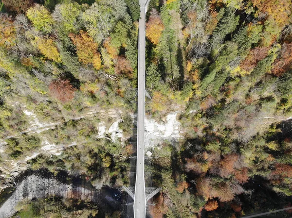 Aerial Shot Road Going Autumn Forest — Stock Photo, Image