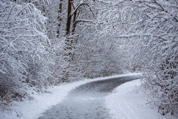 Camino Muchas Torres Eléctricas Cubiertas Nieve — Foto de Stock