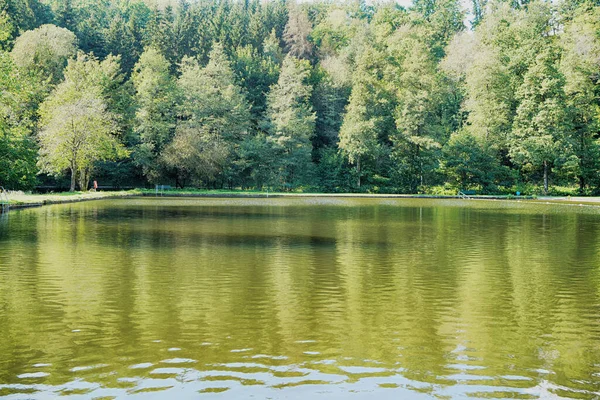 Schöne Aufnahme Eines Sees Mit Bäumen Hintergrund — Stockfoto