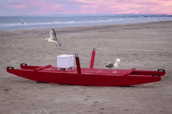 Een Zandstrand Met Een Rode Zee Reddingsboot Meeuwen Eromheen — Stockfoto