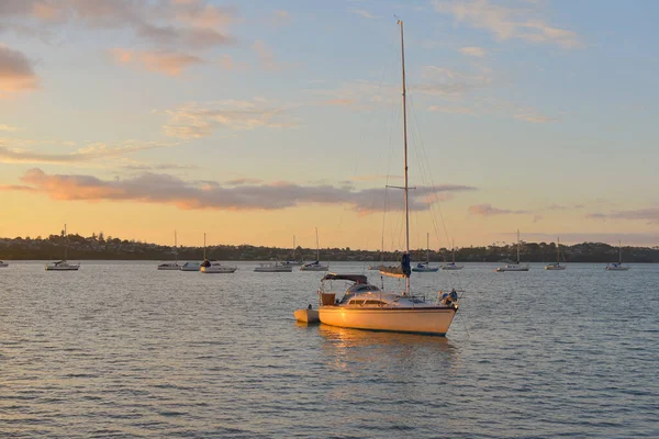 Auckland Neuseeland Dezember 2020 Blick Auf Eine Kleine Jacht Sonnenuntergang — Stockfoto