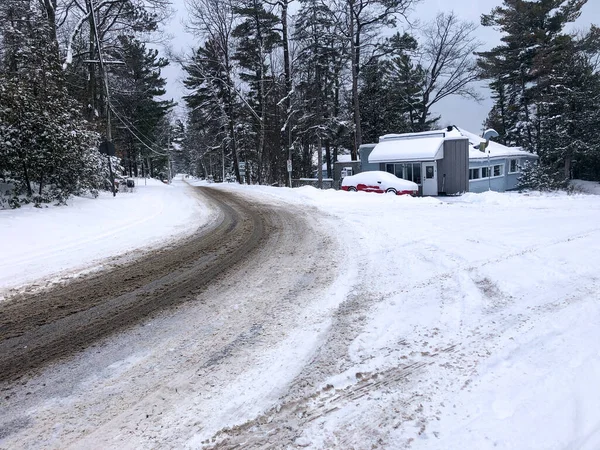 Belo Tiro Uma Estrada Cercada Árvores Coberta Neve Floresta — Fotografia de Stock